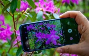 3 Apps para Cuidar tus Plantas