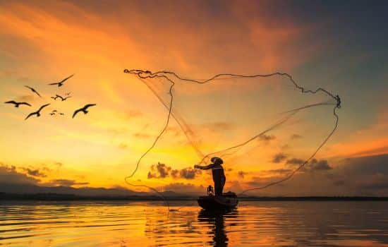 Explora el mundo del sonar.