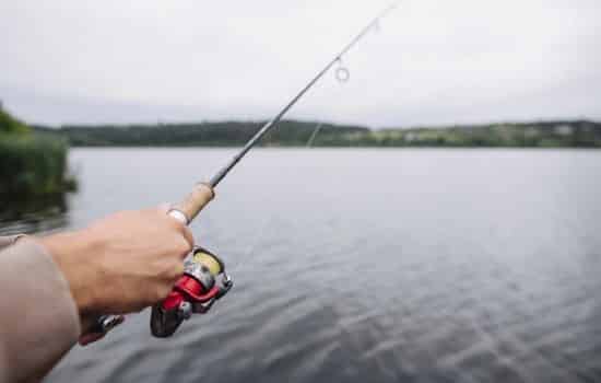 ¡Pesca Gigantes Ya!