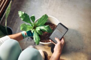 App práctico para identificar y cuidar tus plantas domésticas