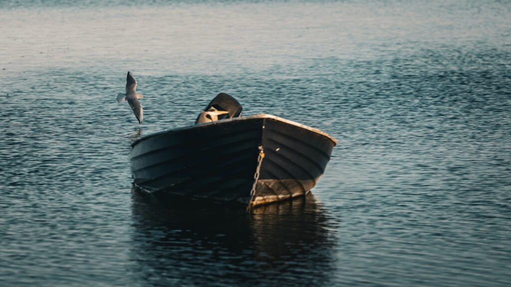 Aplicación GPS para Pesca: Navegación y Localización Precisa