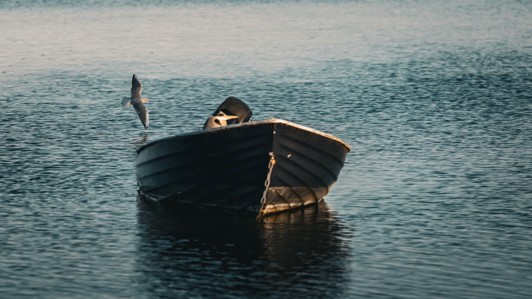 Aplicación GPS para Pesca: Navegación y Localización Precisa
